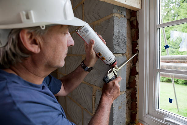 Best Insulation Installation Services in Mcnary, AZ
