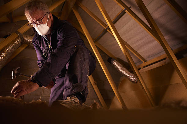 Best Residential Insulation in Mcnary, AZ